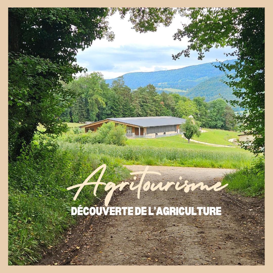 La Ferme Du Solvat Apartment Courcelon Exterior photo